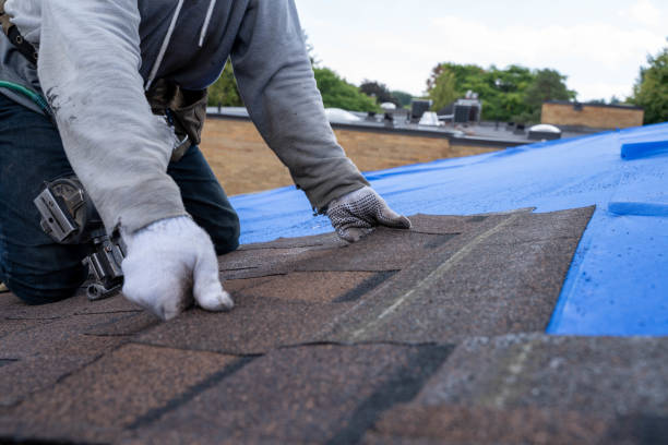 Best Commercial Roofing Services  in Lake Holiday, IN