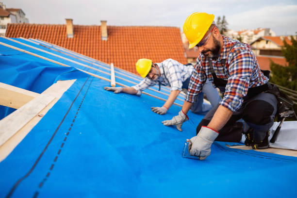 Best Metal Roofing Contractor  in Lake Holiday, IN