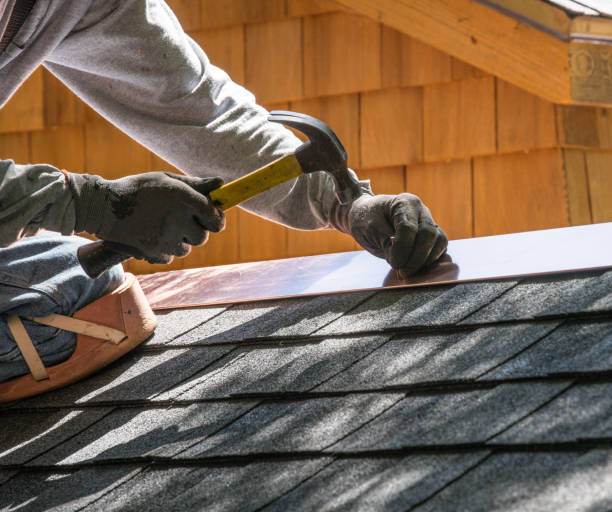 Best Local Roofing Companies  in Lake Holiday, IN